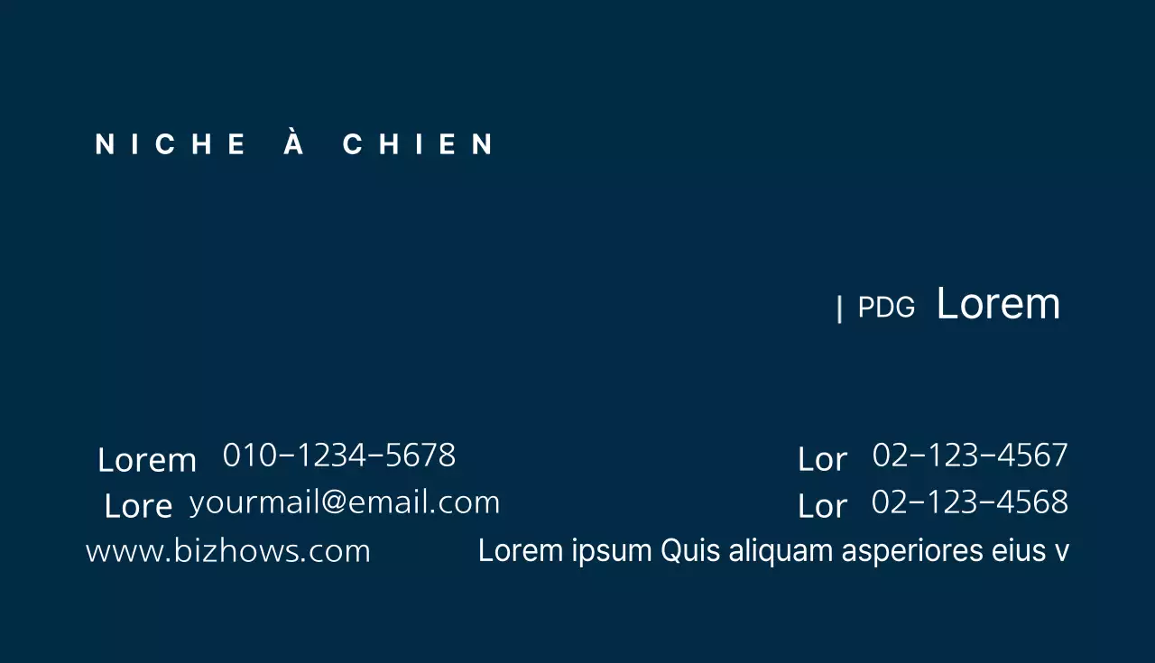 Magasins d'articles pour chiens