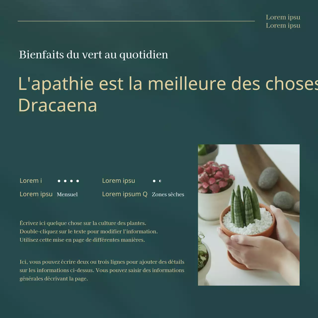 Les plantes vertes et dorées à la mode pour animaux de compagnie expliquées