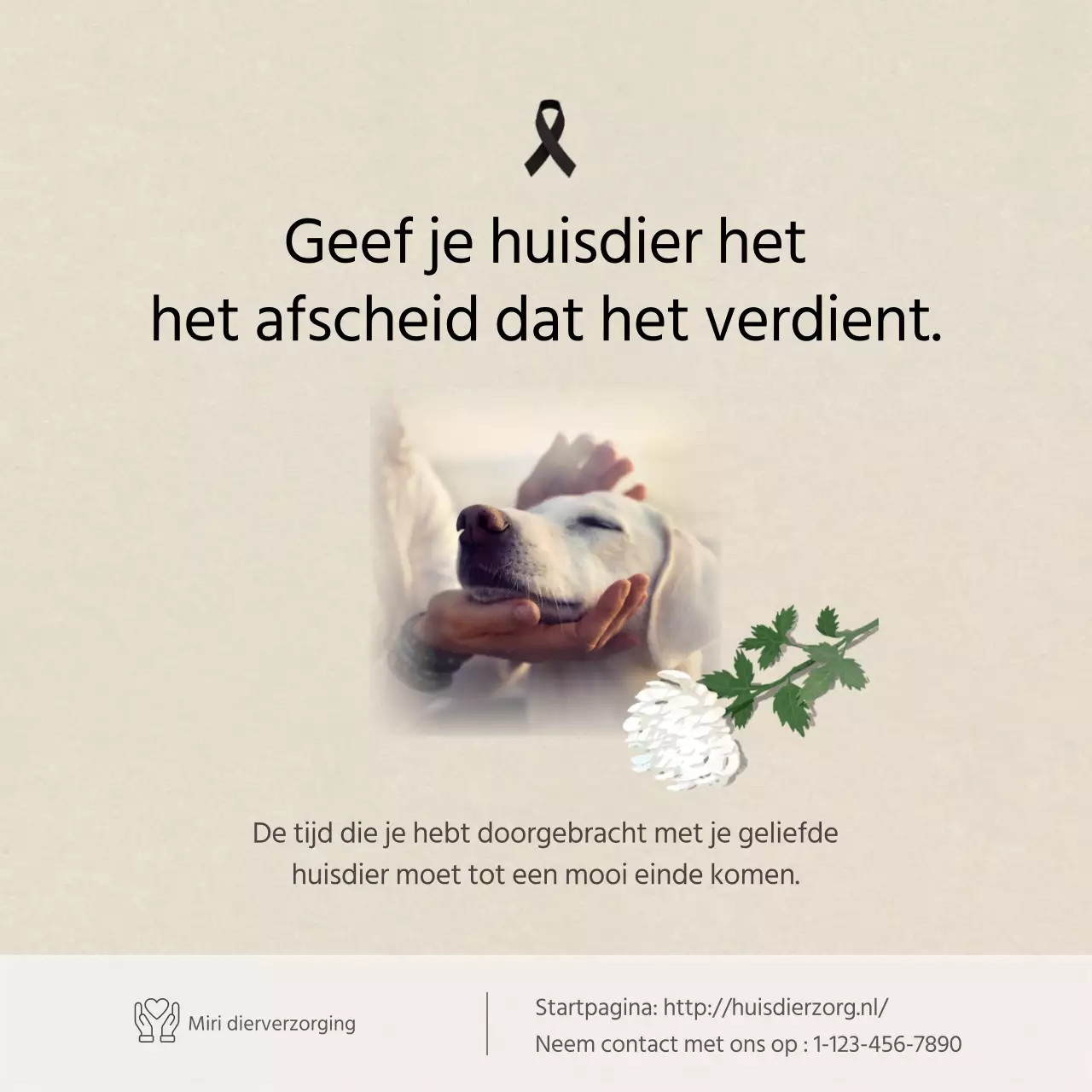 Schone tekst in ivoorKaarten voor huisdierenNieuws