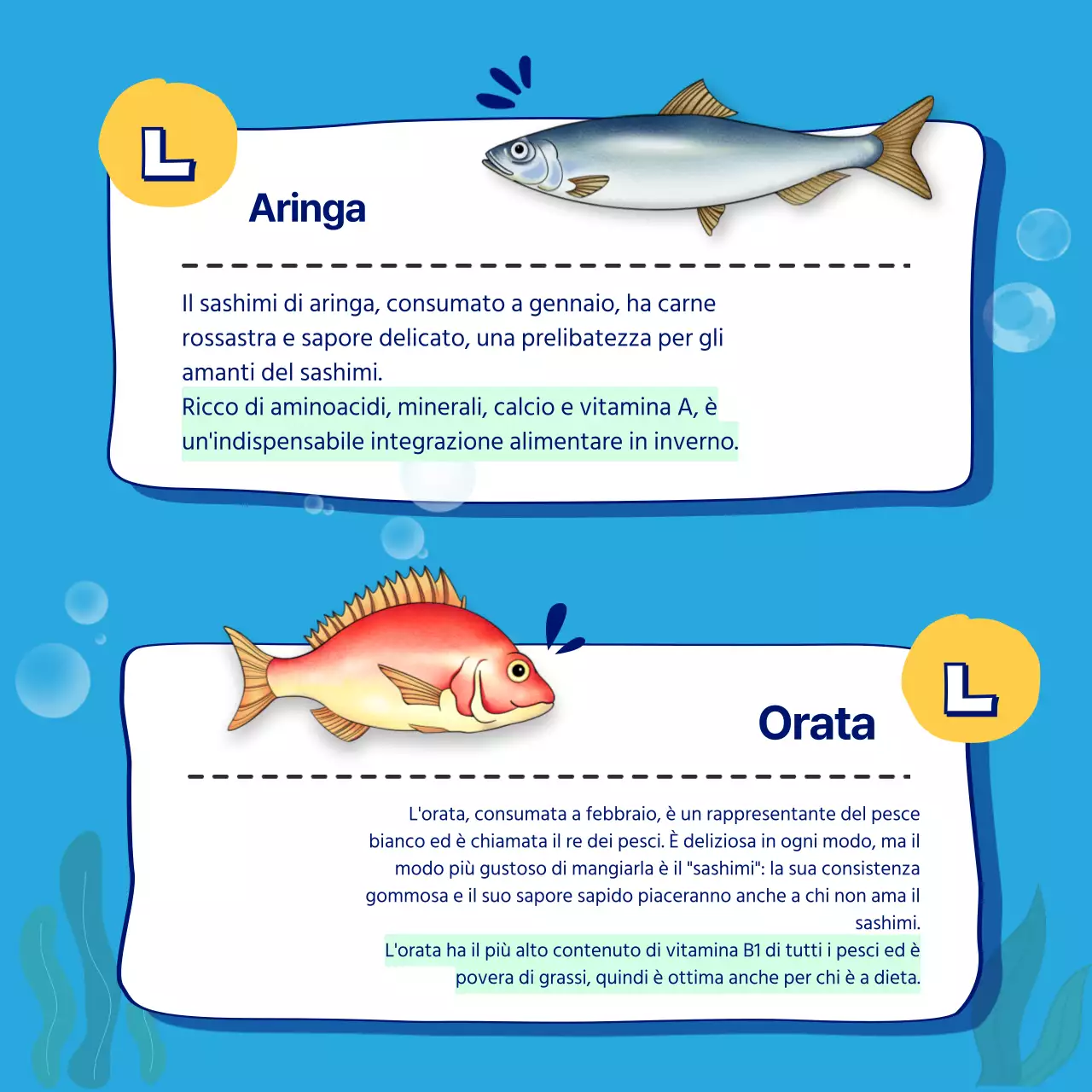 Una guida mensile al sashimi di stagione in Blue CardNews