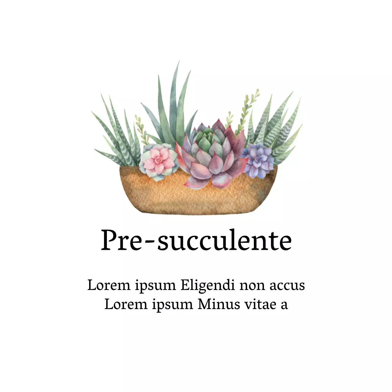 Etichette bianche illustrate e pulite per giardini botanici