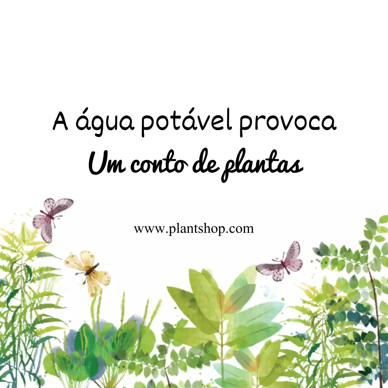 Histórias de floristas