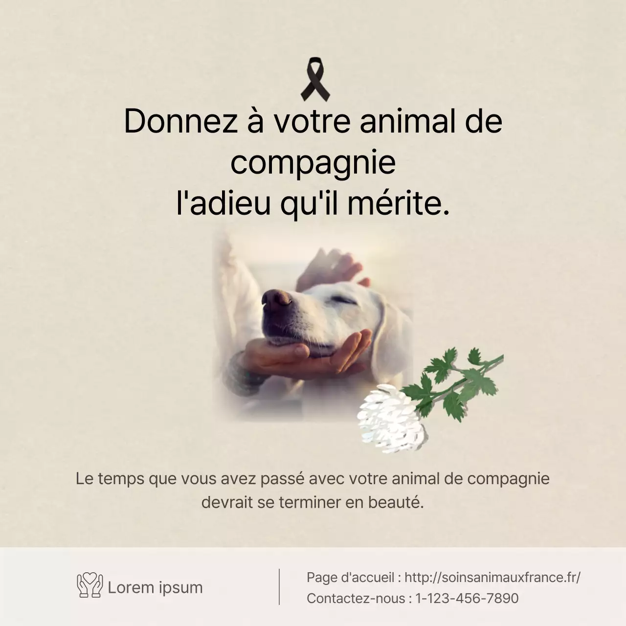 Texte clair en ivoireCartes pour animaux de compagnieNouvelles