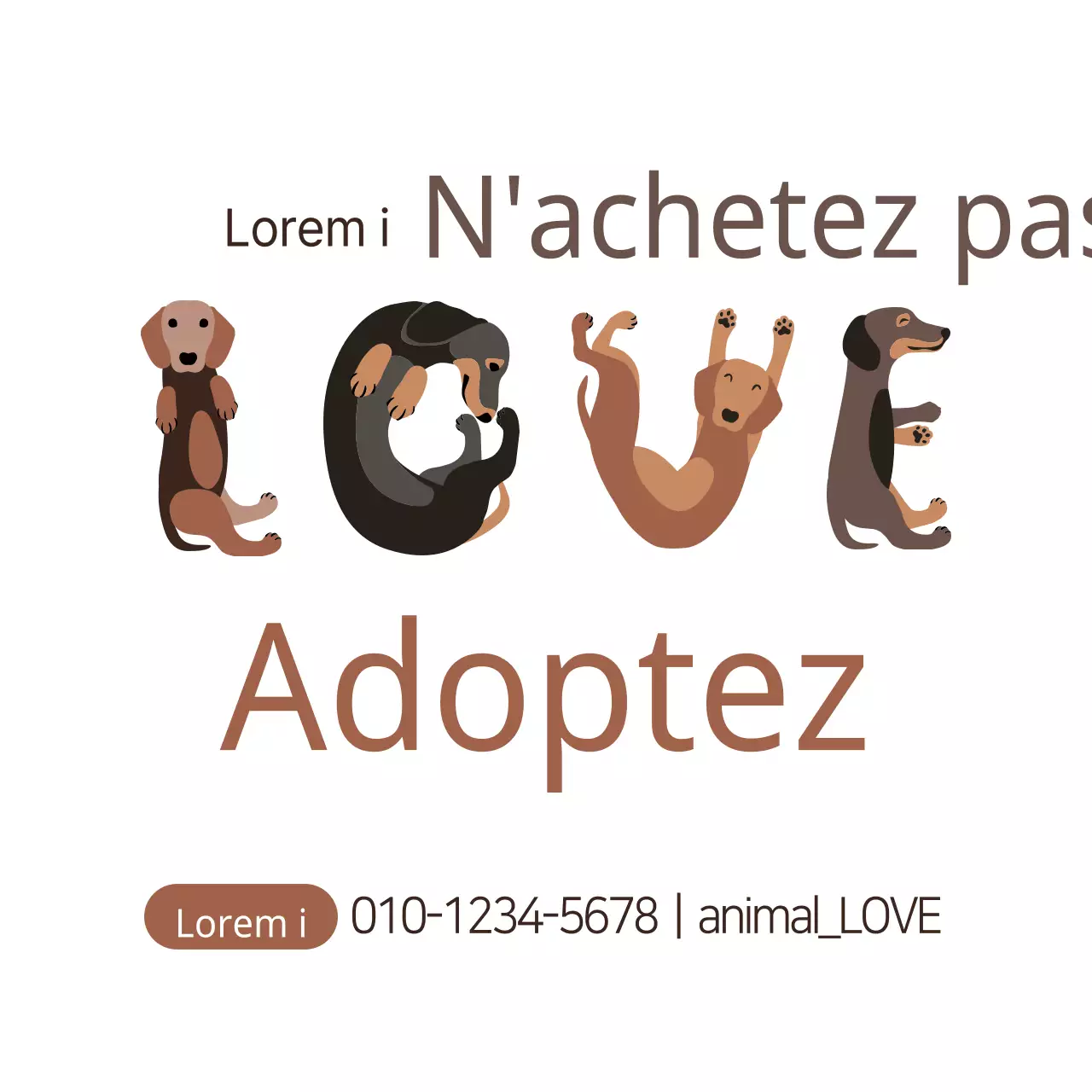 Animaux de compagnie