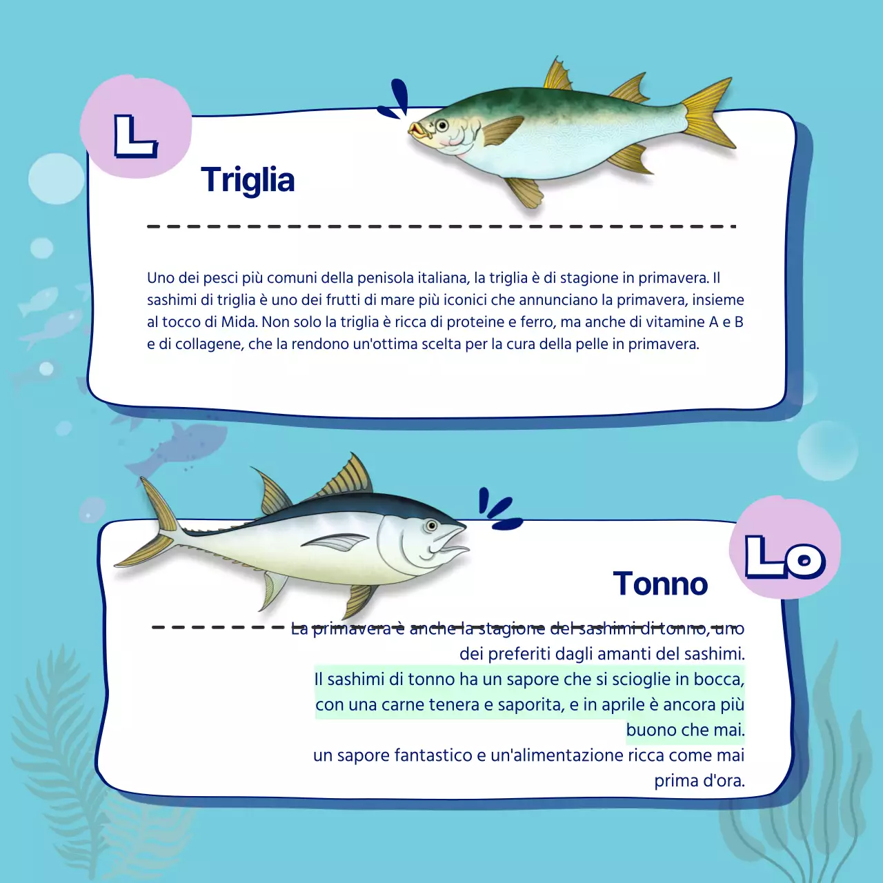 Una guida mensile al sashimi di stagione in Blue CardNews