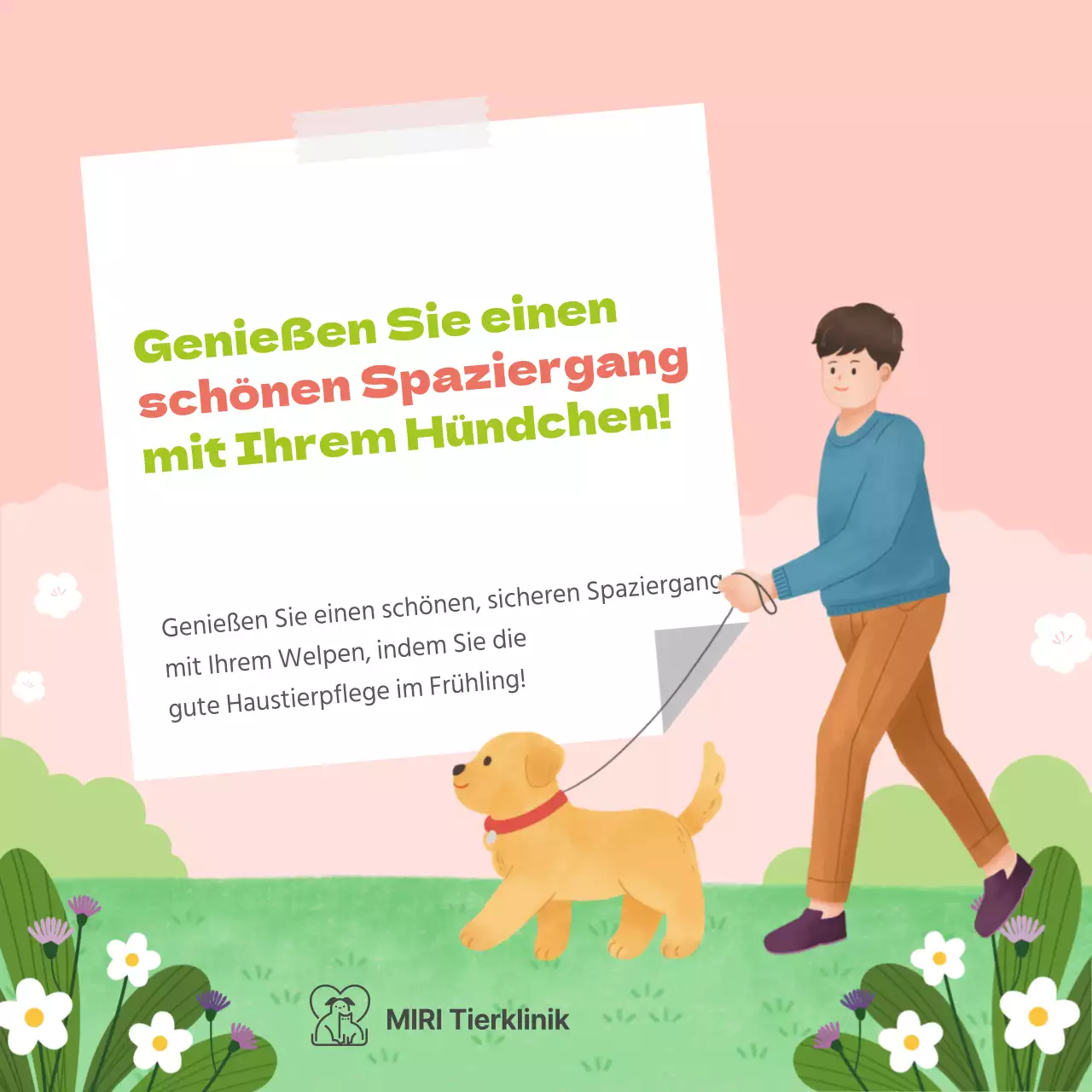 Gesundheitstipps für pastellfarbene Welpen im Frühling