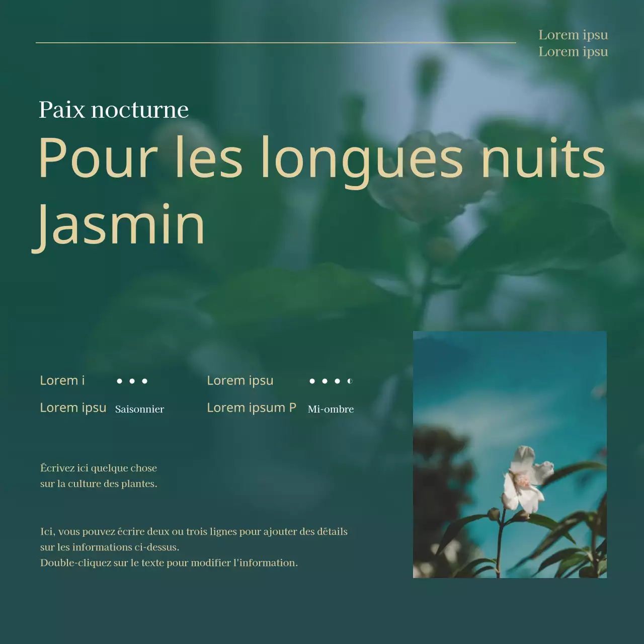 Les plantes vertes et dorées à la mode pour animaux de compagnie expliquées