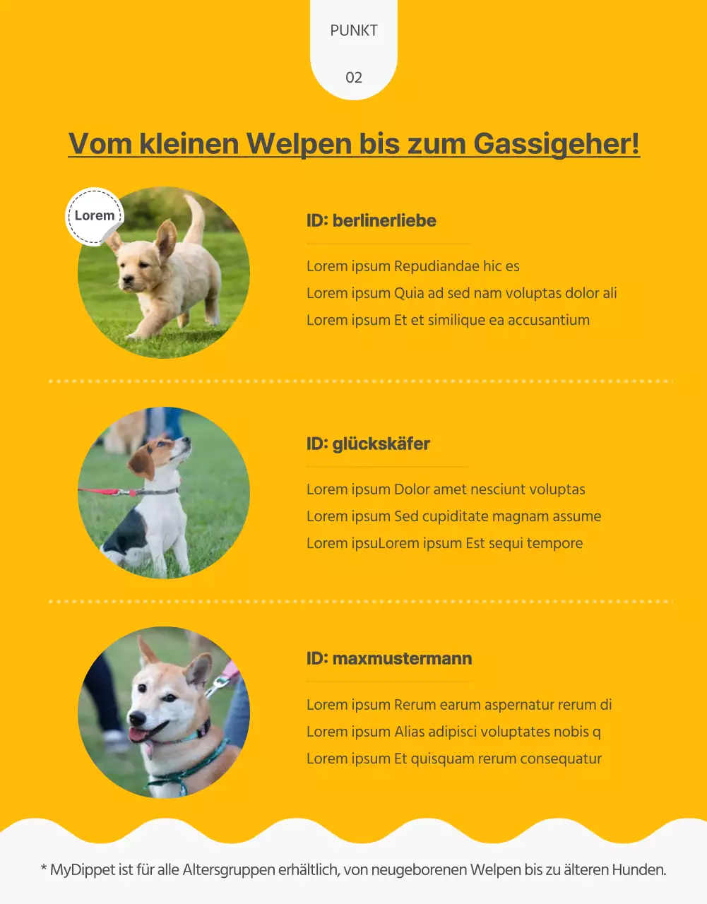 Über selbstgemachte Leckereien für Haustiere mit einem Hauch von Gelb und Grün