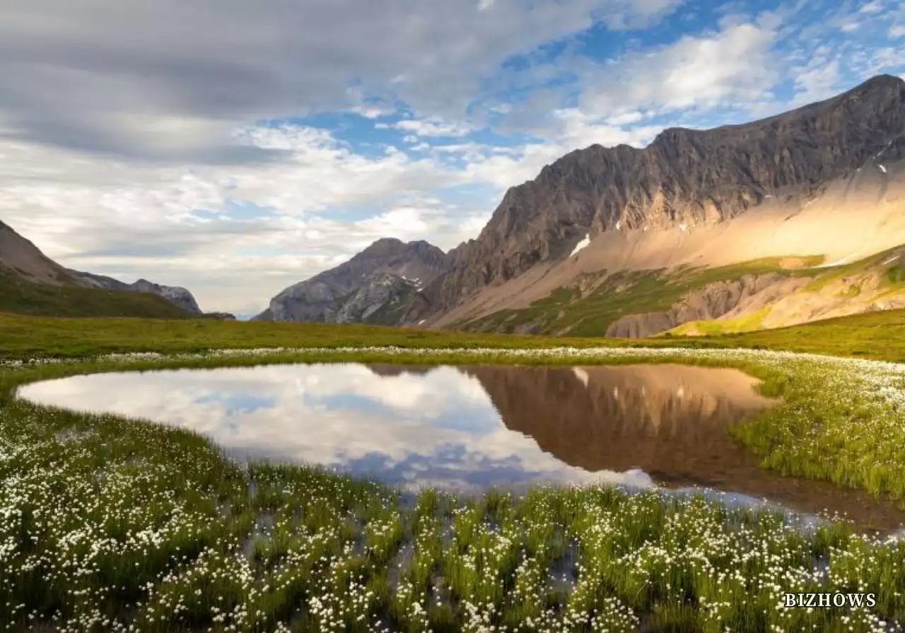 清涼感のあるシンプルモダンな自然切り抜き背景スタイル 個人グッズ用