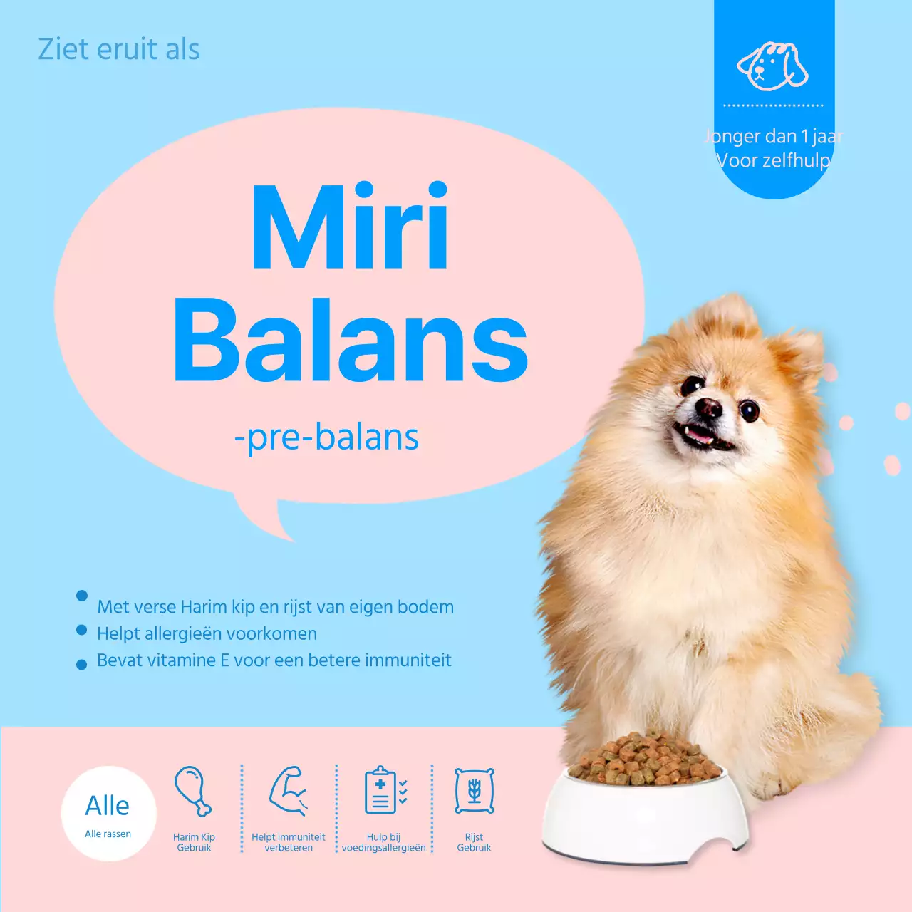 Een gids voor schattige, grafische huisdierproducten in roze en lichtblauw