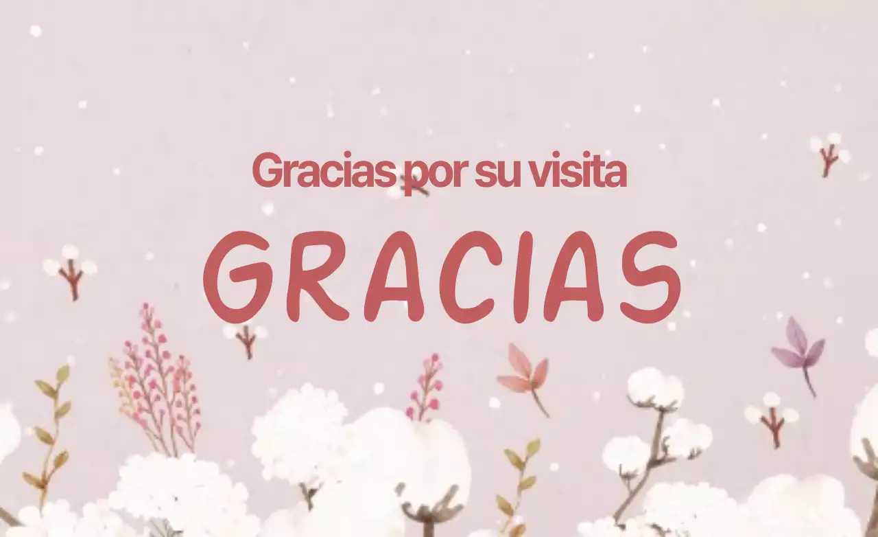 Gracias por su visita