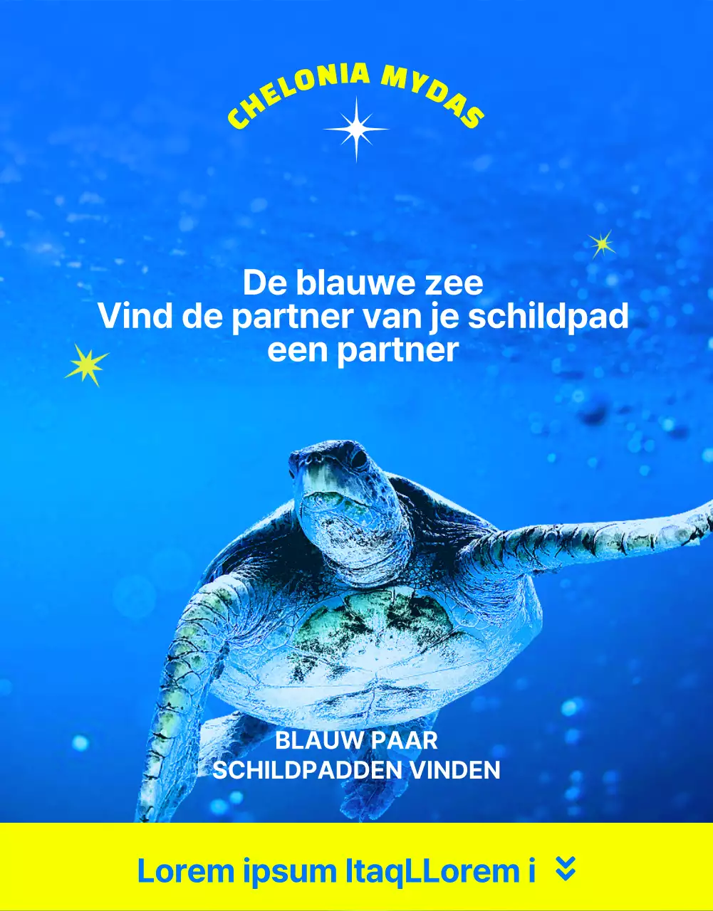 Financiering voor het behoud van de blauwe en gele onechte karetschildpad, een bedreigd dier van het barrièrerif.