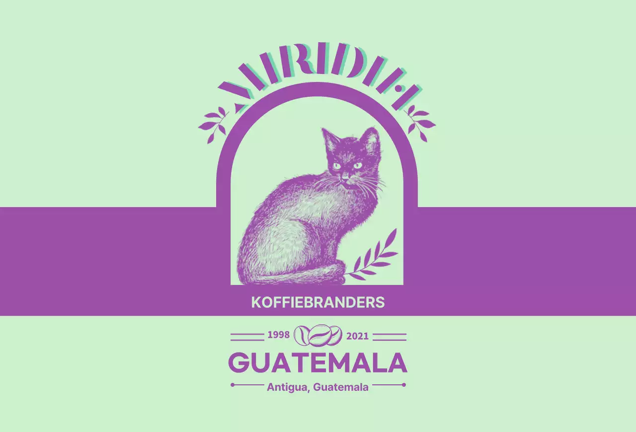 Een gids voor koffiemerken en -bonen met een limoengroen en paars typografisch ontwerp3