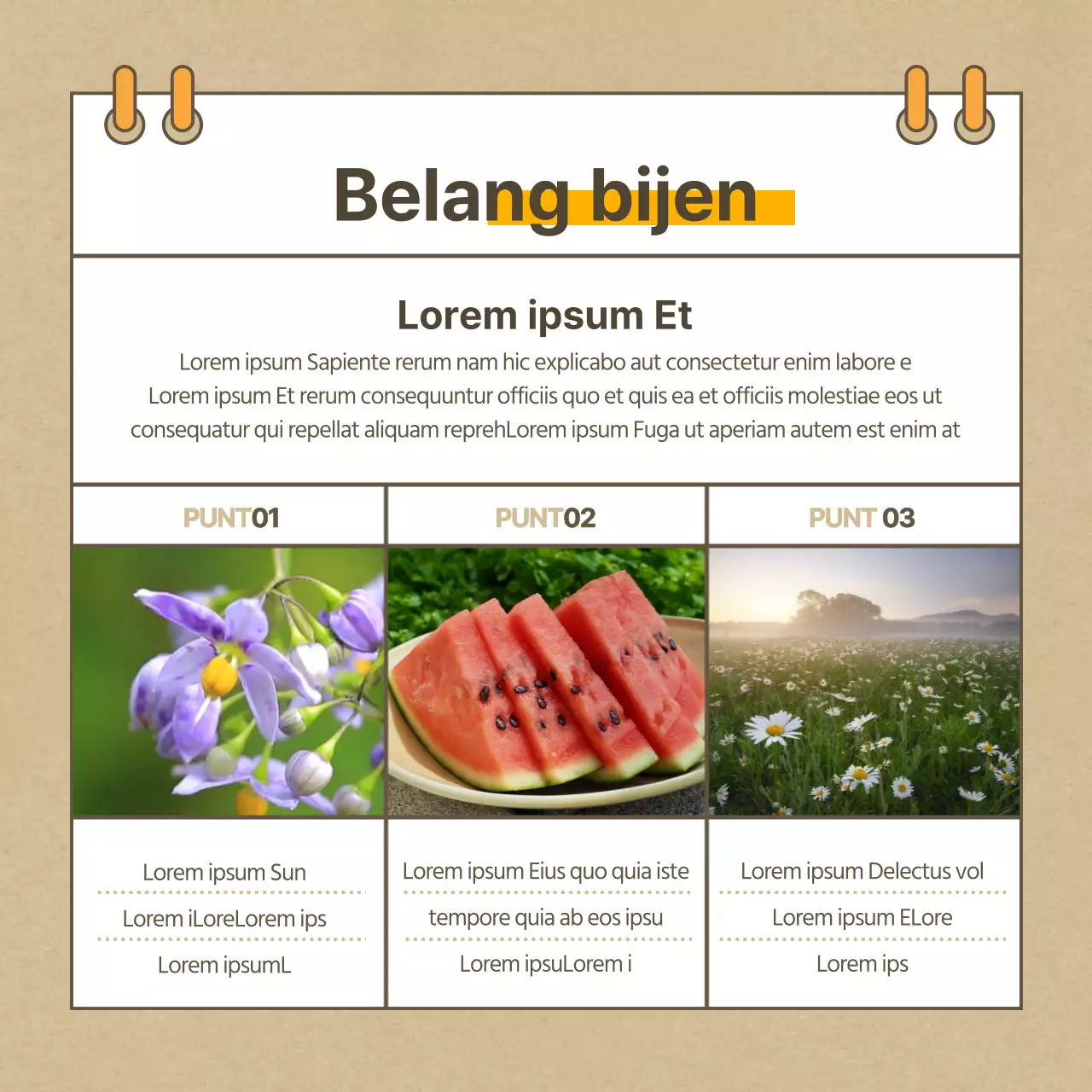 Beige ontbrekende bijen kaartNieuws ontwerp