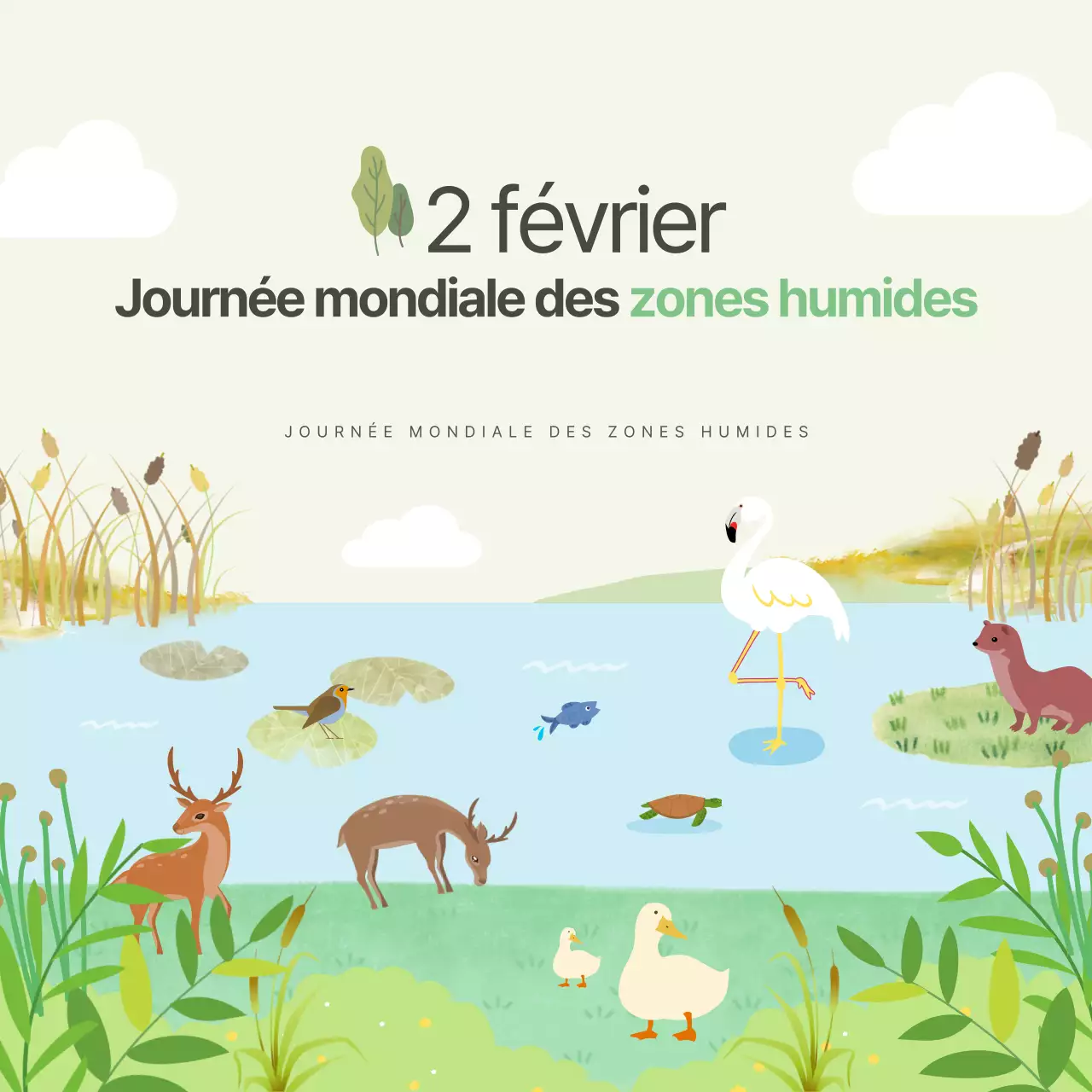 Ducasse Carte de la Journée mondiale des zones humidesNews Design