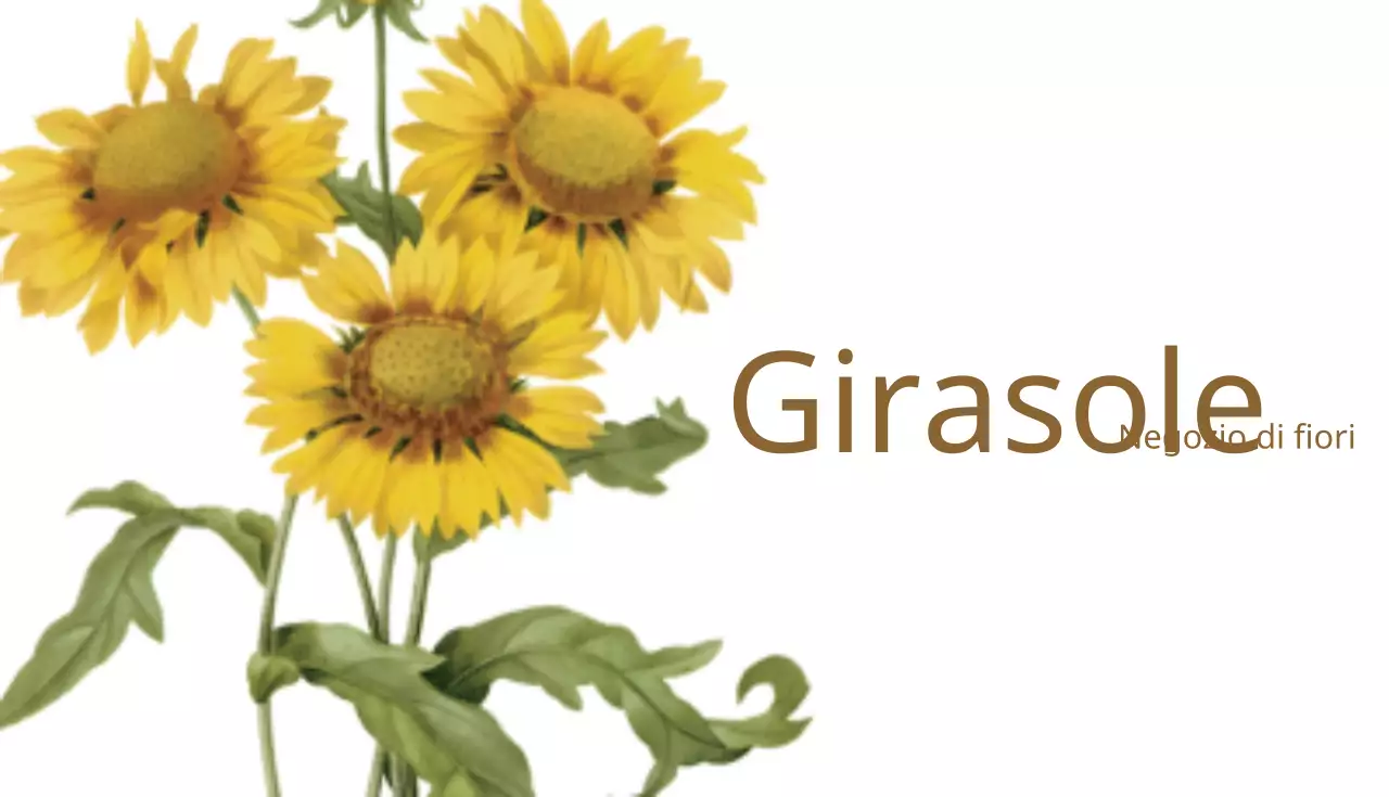 Girasole