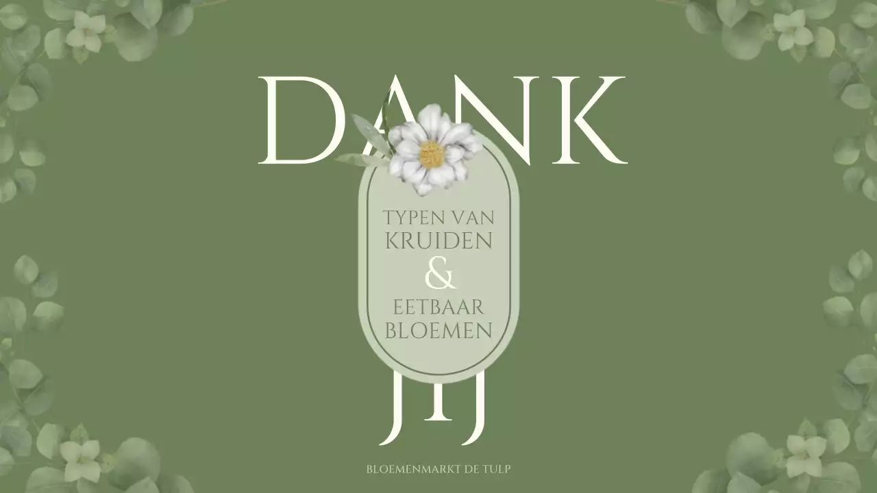 Trivia over eetbare bloemen en kruiden met een groen, sentimenteel aquarelillustratiethema