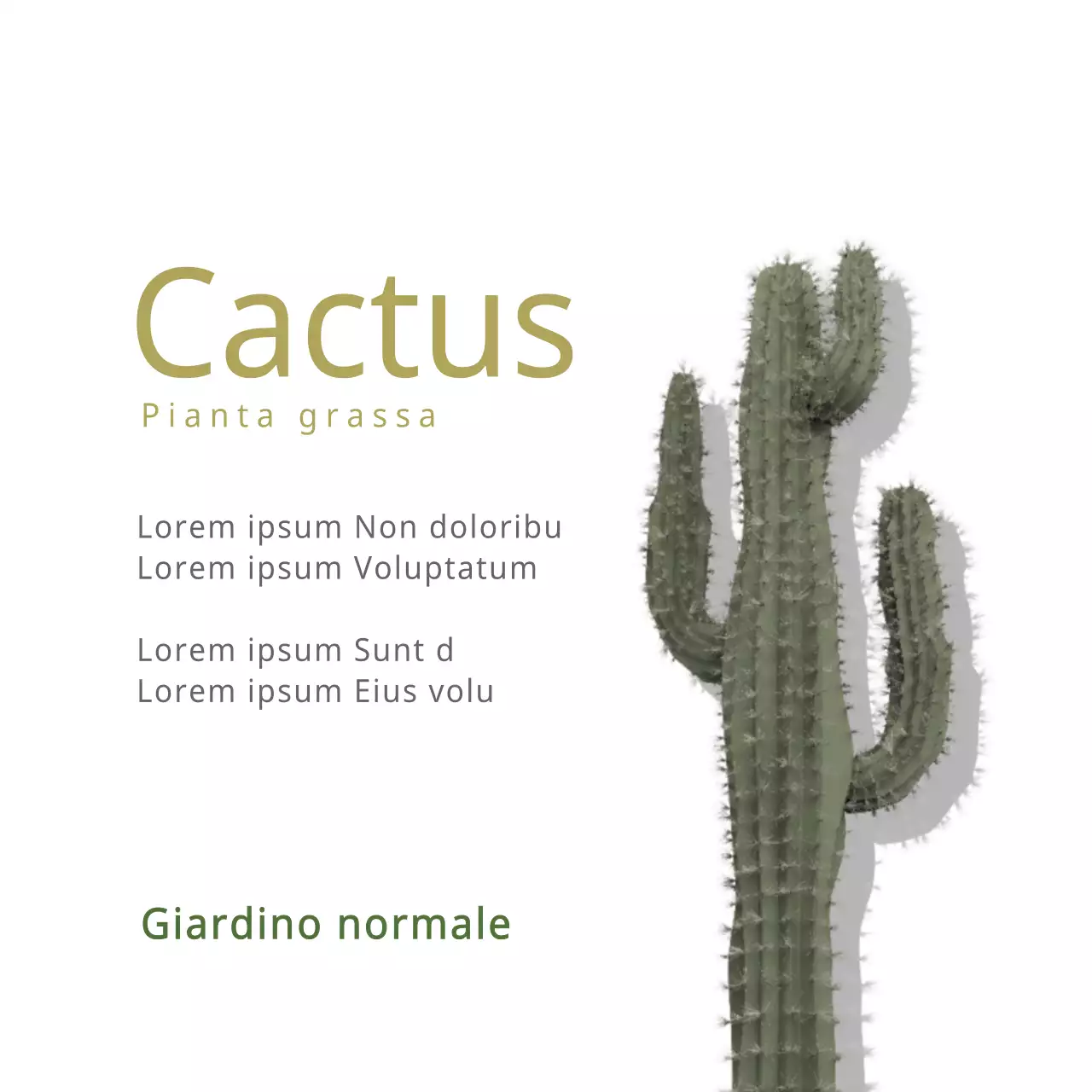 Cactus