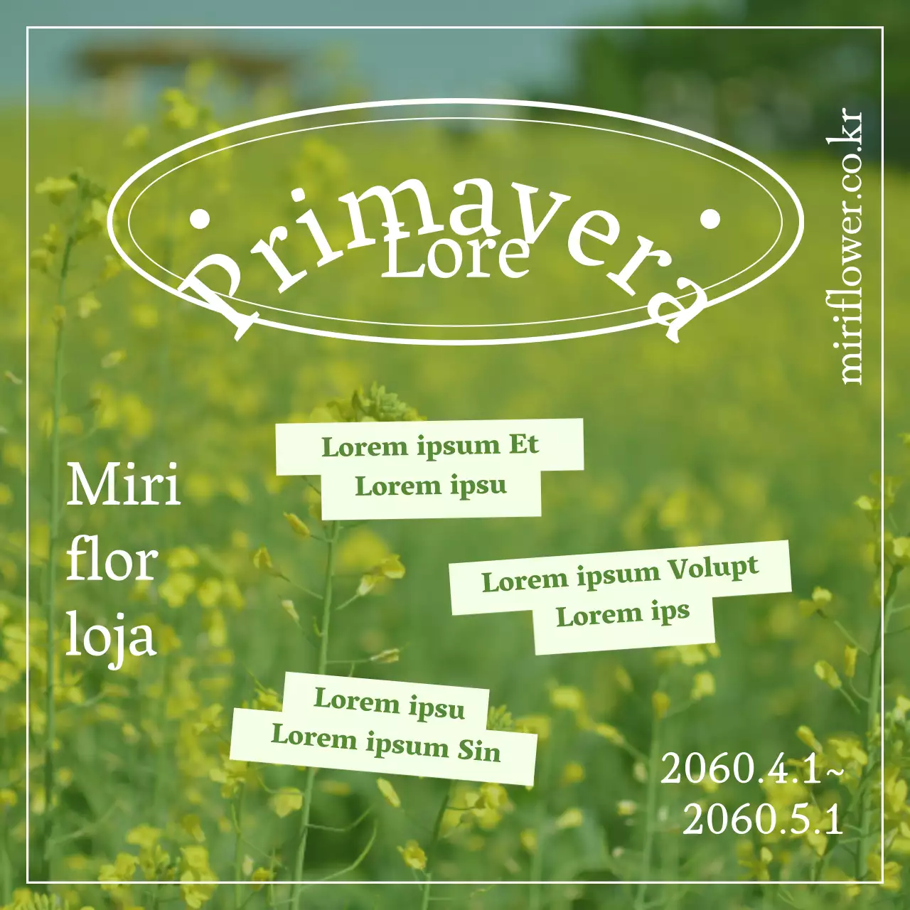 Evento primaveril num campo de flores amarelas