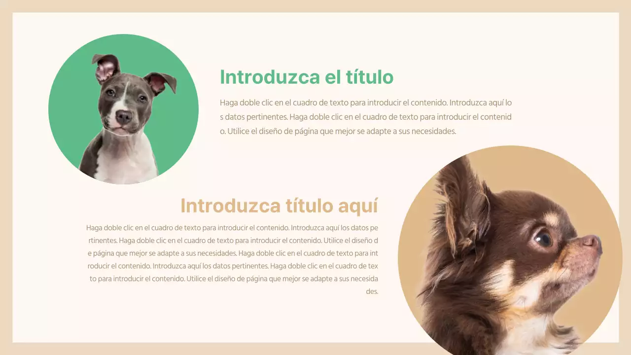 Presentación de mascotas