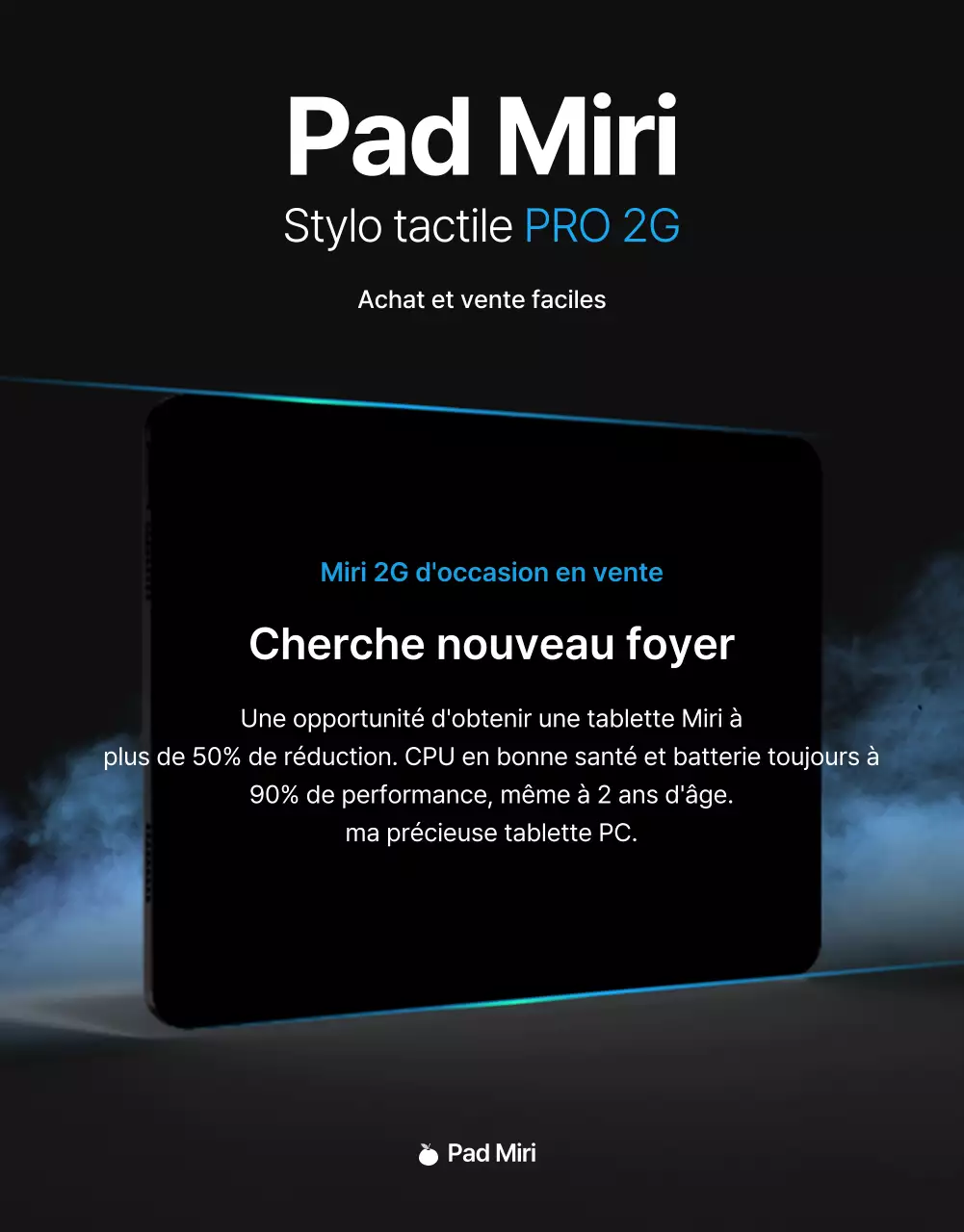 Black Blue Point Page de petites annonces simple et élégante (page détaillée)