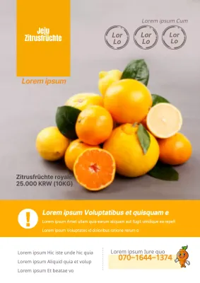 Werbung für eine Zitrusfarm mit gelben Mandarinenfotos und Mandarinenfiguren