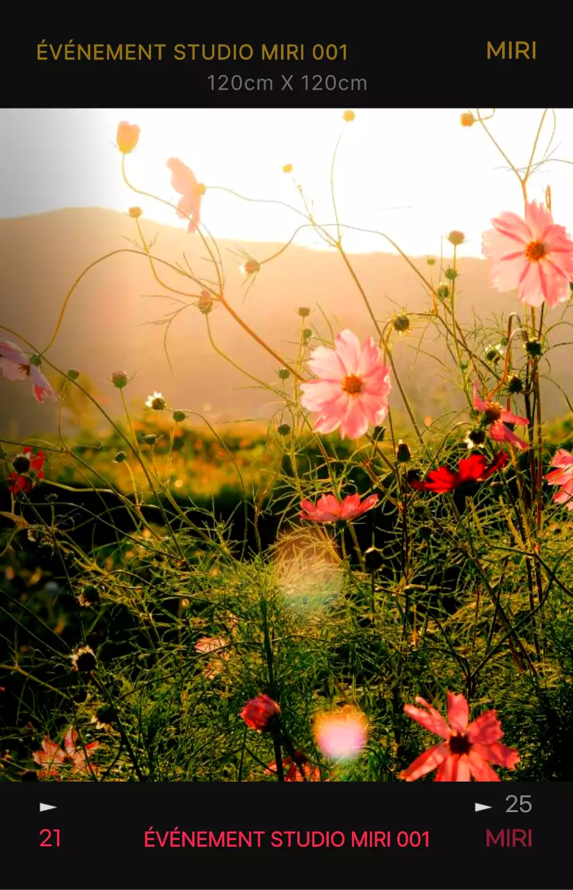 Concept de cadre de film photo émotionnel et branché avec des couleurs très contrastées pour les articles personnels