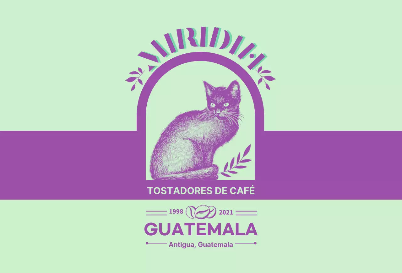 Guía de marcas y granos de café con un diseño tipográfico en verde lima y morado3