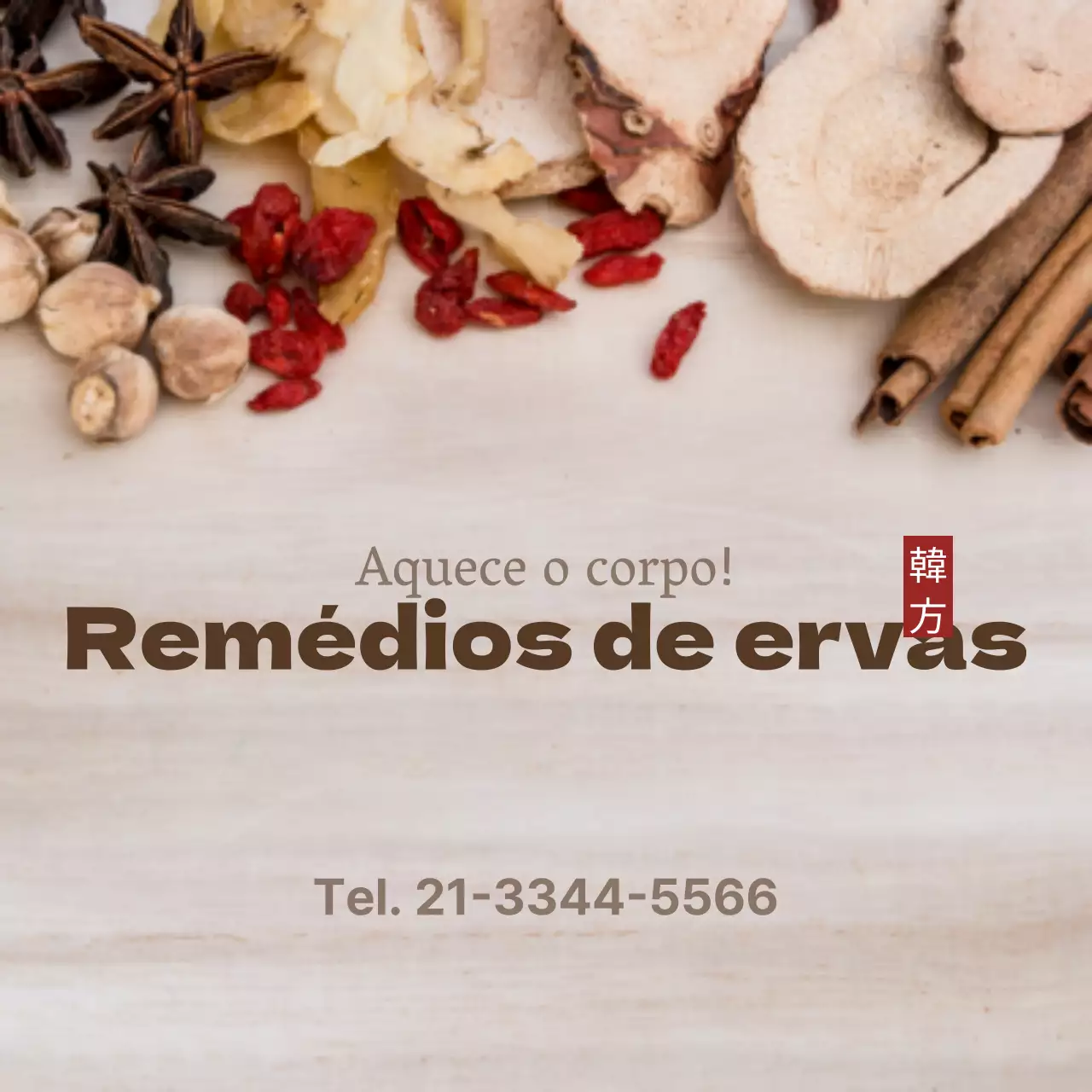 Medicamentos à base de plantas