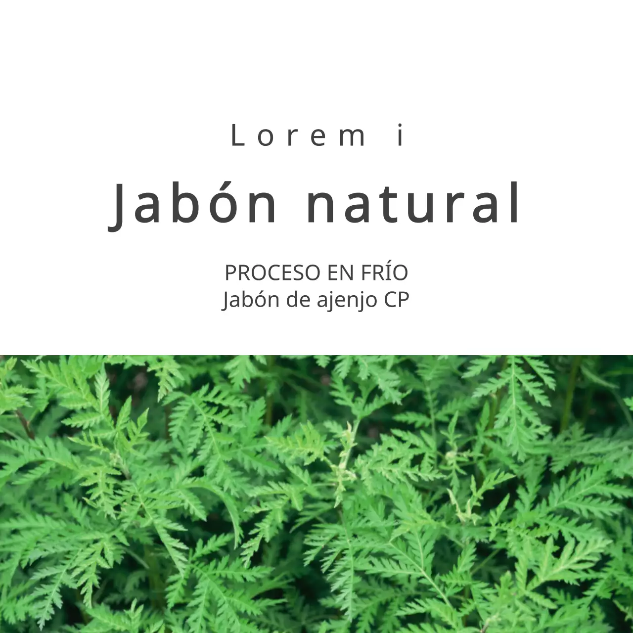 JABÓN NATURAL
