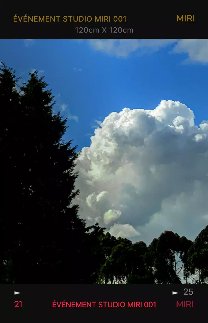Concept de cadre de film photo émotionnel et branché avec des couleurs très contrastées pour les articles personnels
