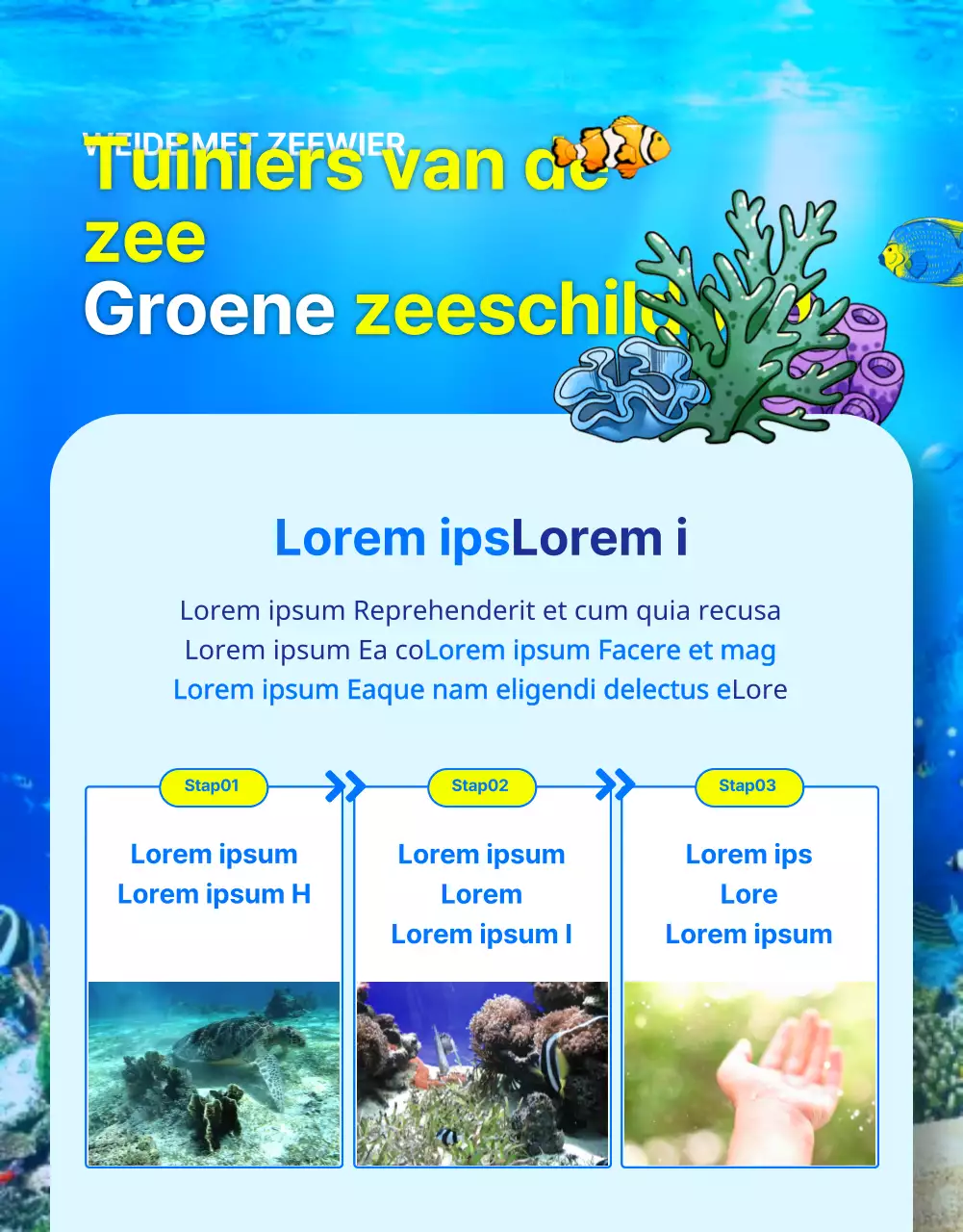 Financiering voor het behoud van de blauwe en gele onechte karetschildpad, een bedreigd dier van het barrièrerif.