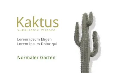 Kaktus