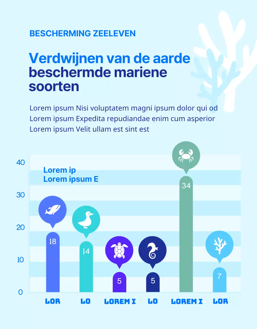 Financiering voor het behoud van de blauwe en gele onechte karetschildpad, een bedreigd dier van het barrièrerif.