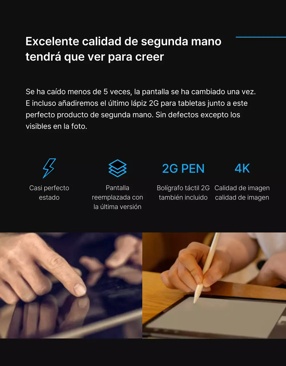 Black Blue Point Página de anuncios clasificados sencilla y con clase (página detallada)