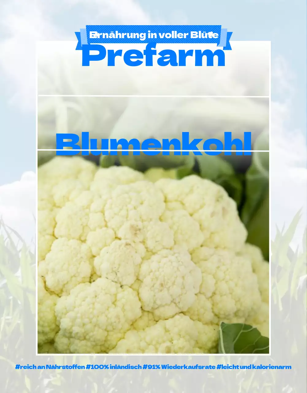 Ein Führer zu einer Blumenkohlfarm mit einem niedlich illustrierten blau-grünen Thema