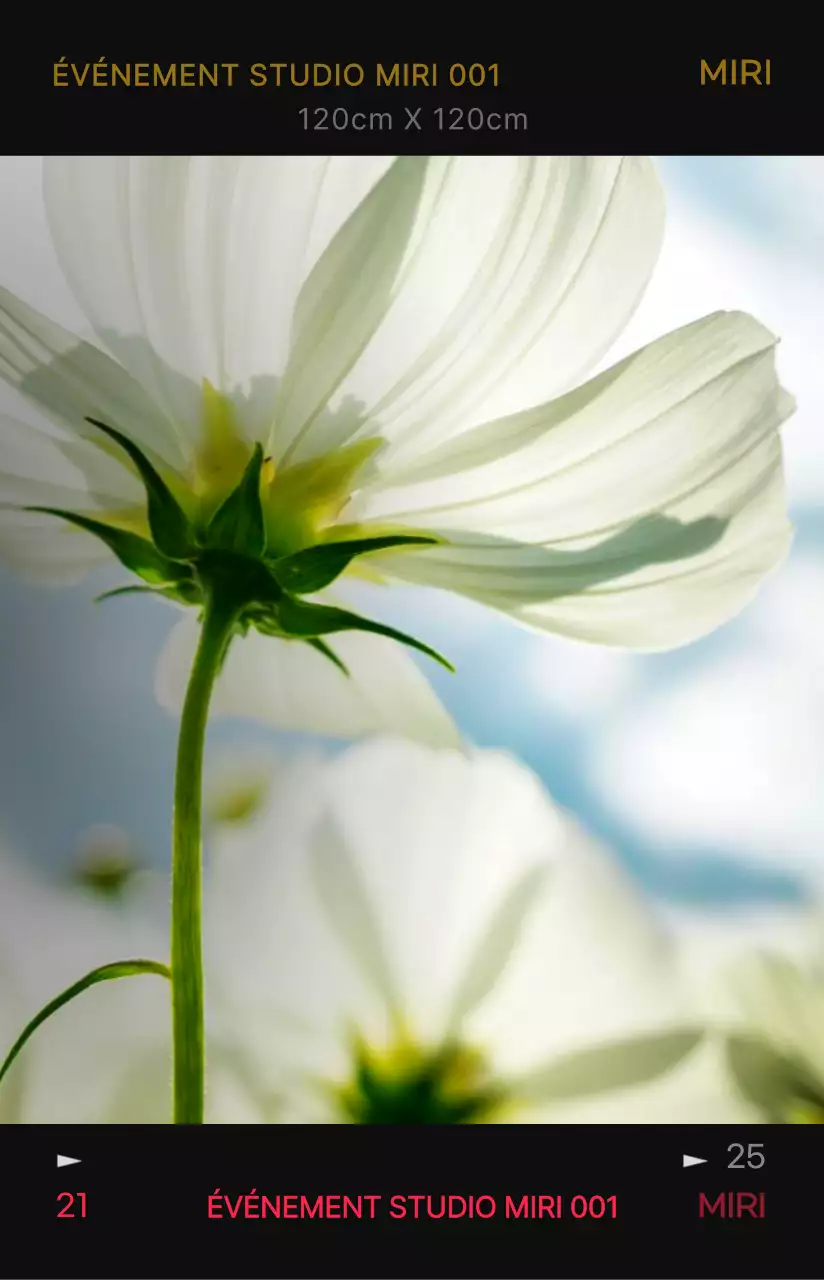 Concept de cadre de film photo émotionnel et branché avec des couleurs très contrastées pour les articles personnels