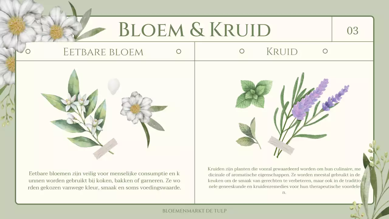 Trivia over eetbare bloemen en kruiden met een groen, sentimenteel aquarelillustratiethema