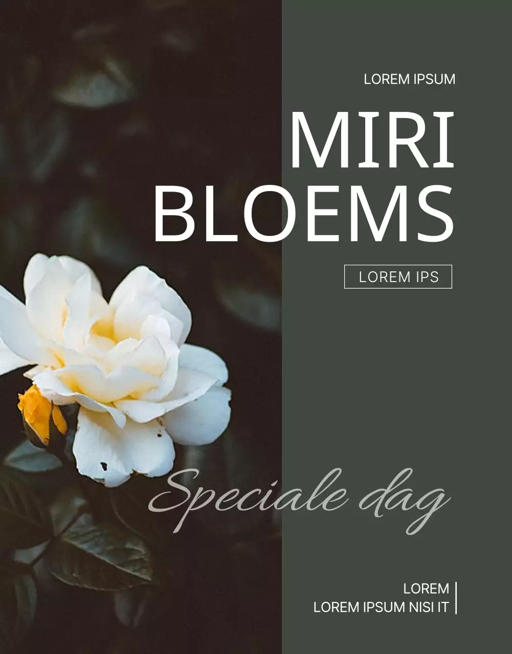 Hoe je donkergroene bloemen kunt kopen en ze op tijd voor het seizoen geleverd kunt krijgen