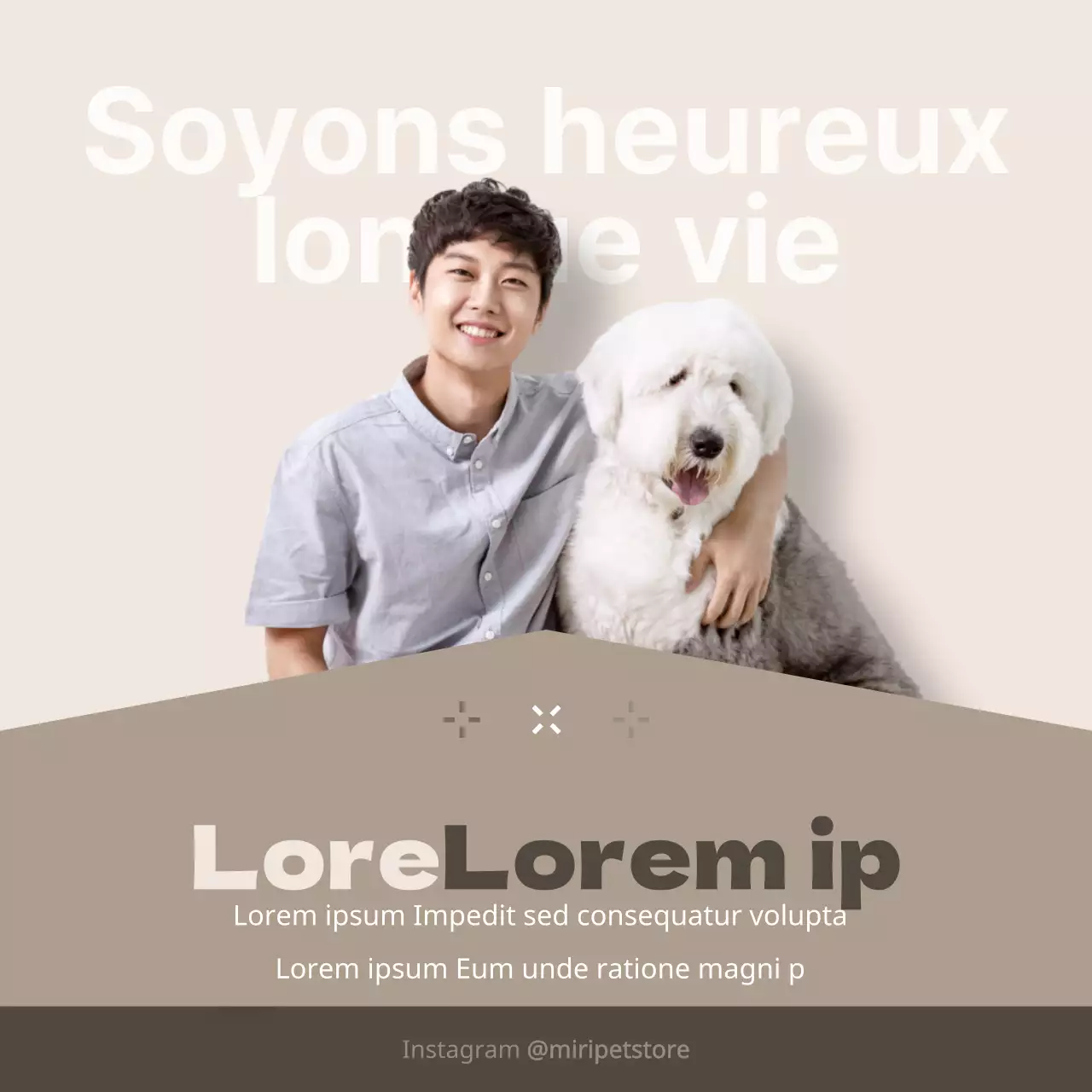 Fournitures pour chiens