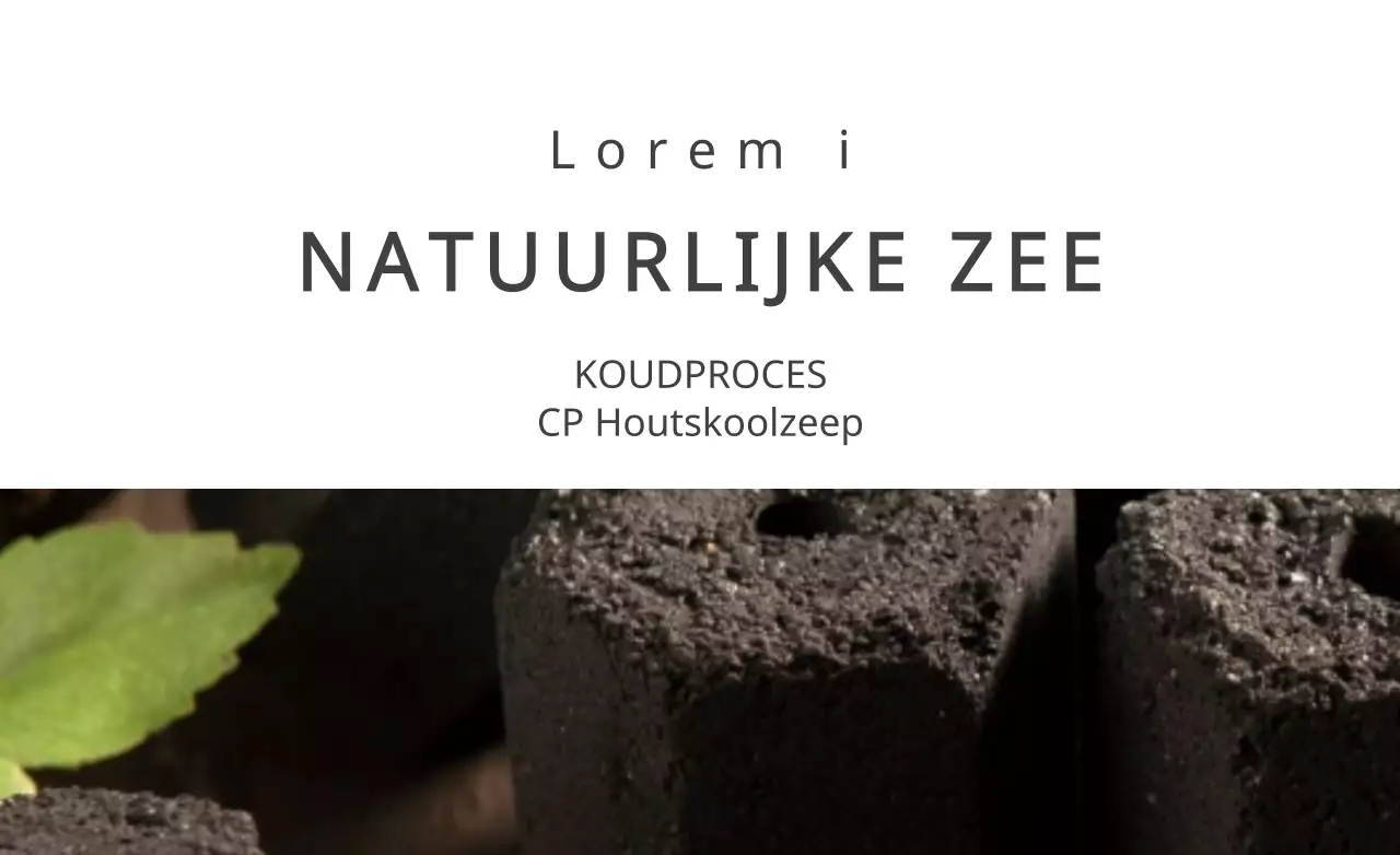NATUURLIJKE ZEE