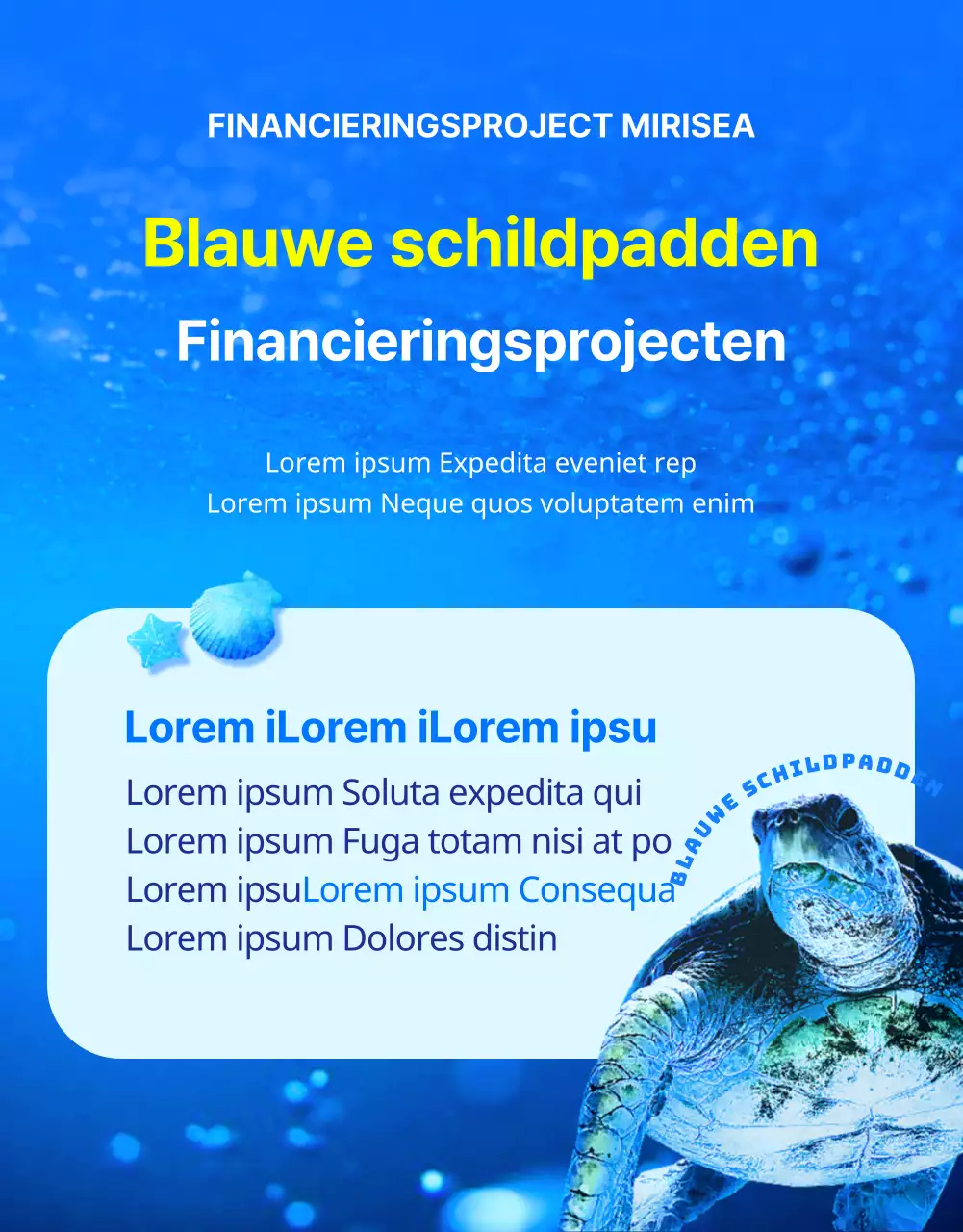 Financiering voor het behoud van de blauwe en gele onechte karetschildpad, een bedreigd dier van het barrièrerif.