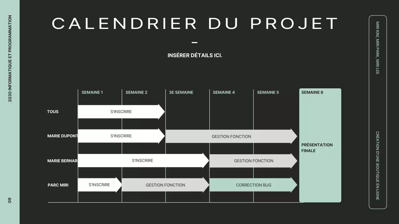 Présenter une vue d'ensemble claire du projet avec des graphiques en noir et menthe