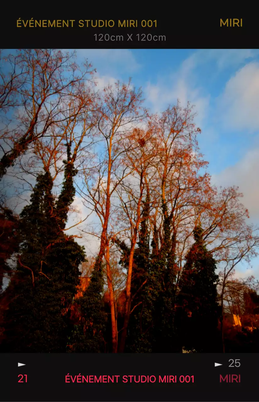 Concept de cadre de film photo émotionnel et branché avec des couleurs très contrastées pour les articles personnels