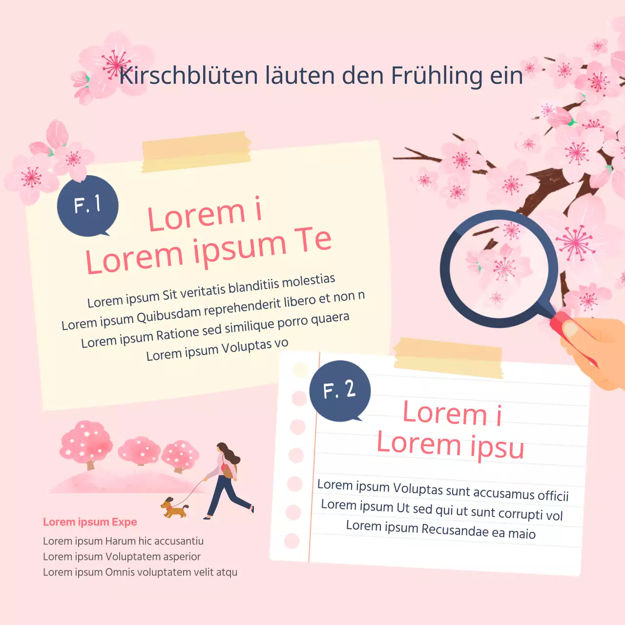 Illustrierte Kirschblütenflecken und Blütezeiten in Rosa