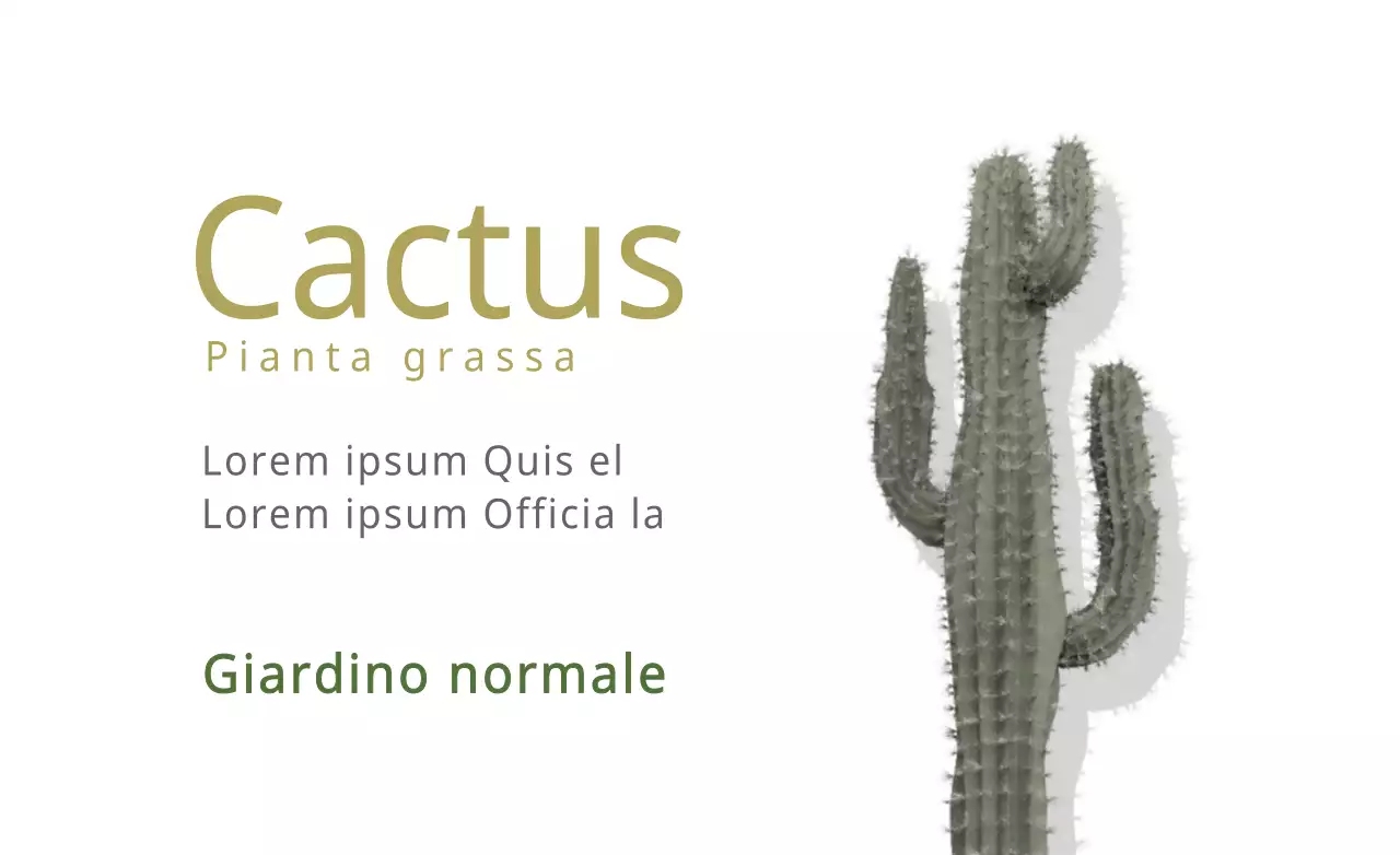 Cactus