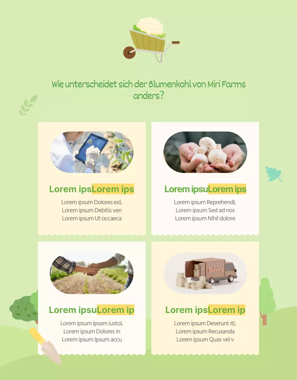 Förderung des grünen und gelben natürlichen Blumenkohls Beschreibung