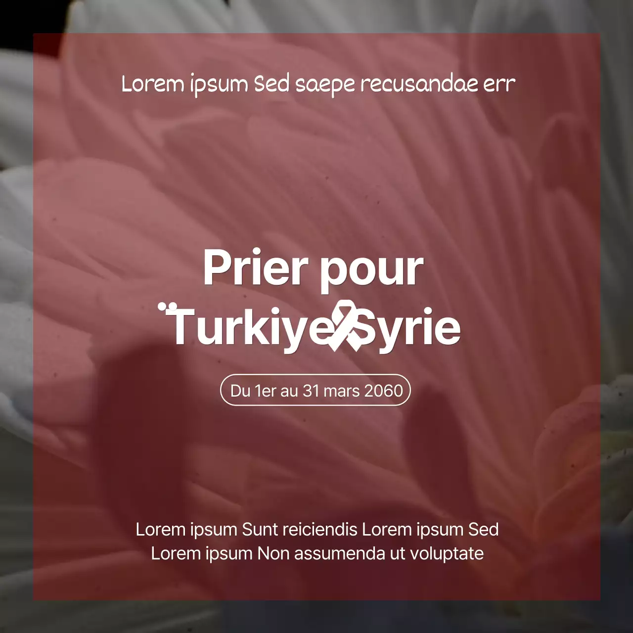 Un mémorial de chrysanthèmes gris et rouges