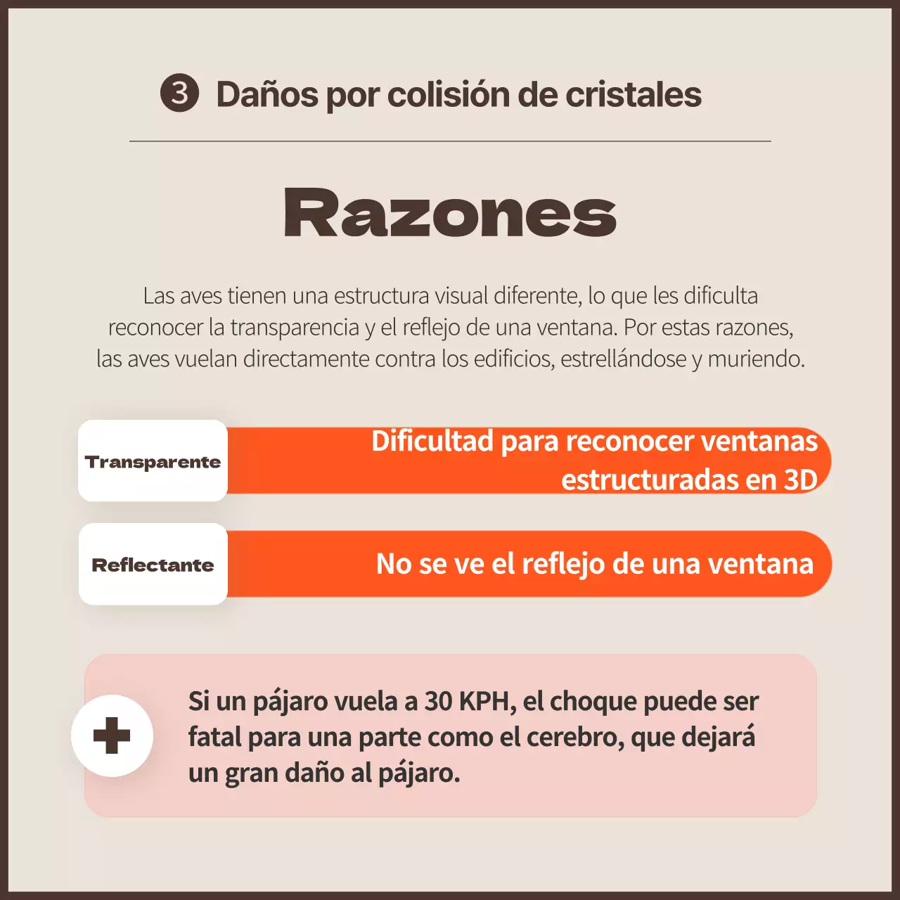 Una campaña limpia contra la colisión de aves con toques naranjas