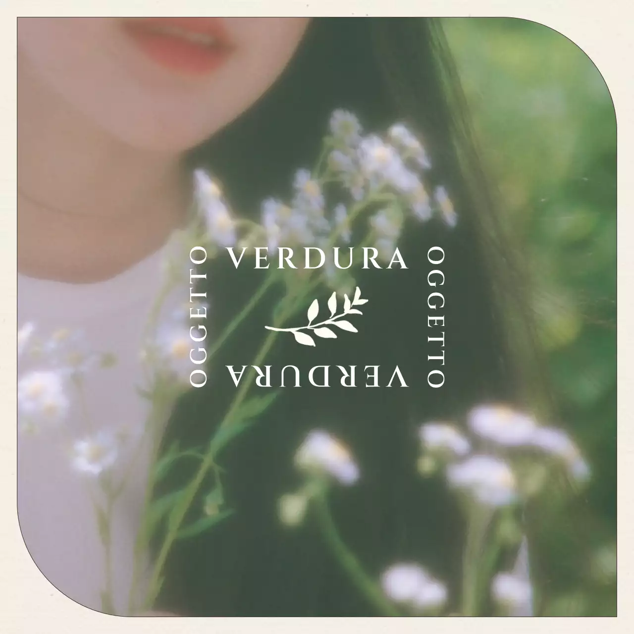 Pacchetto bundle layout fotografico Green's Picnic Concept